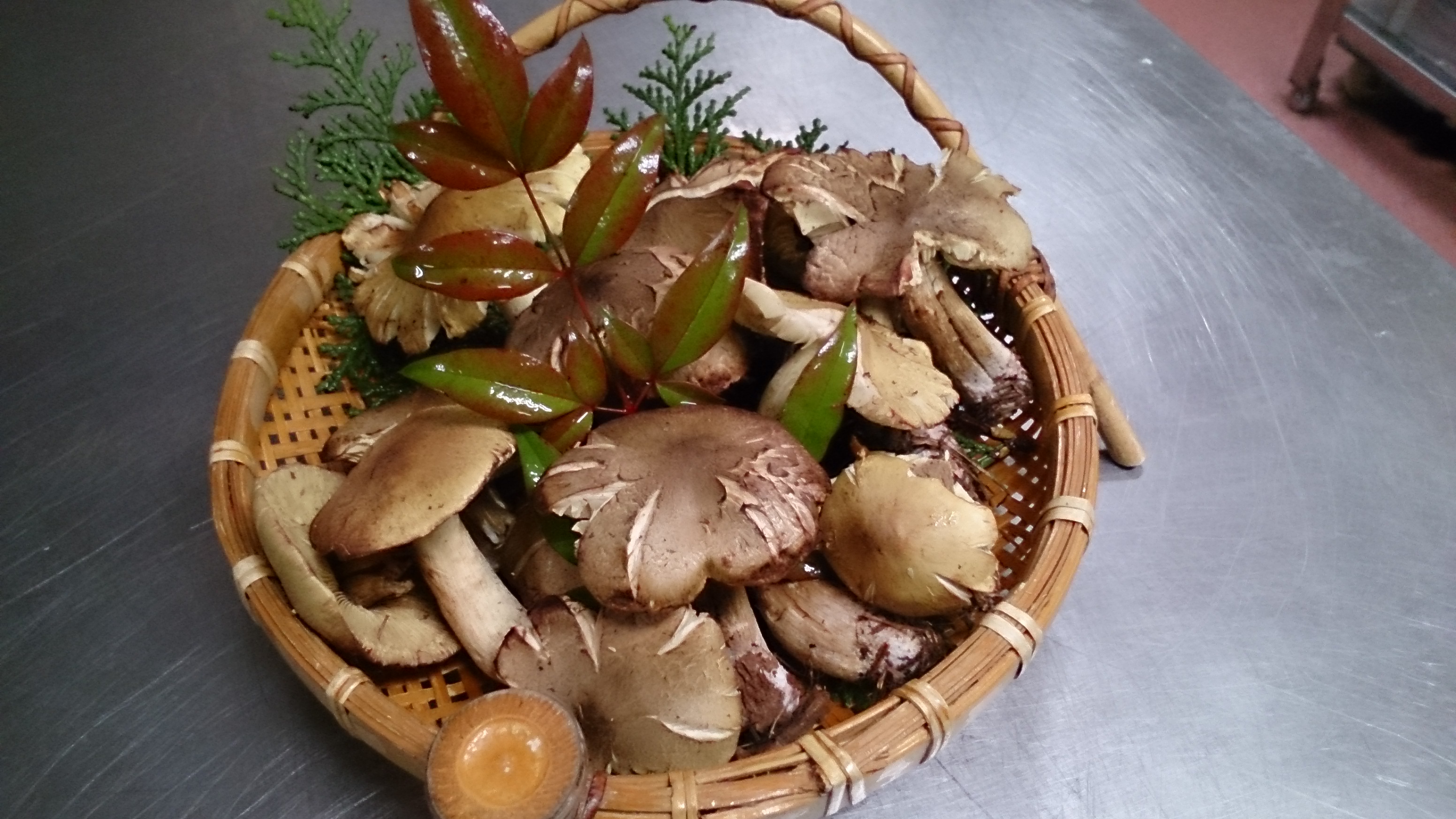 黄占地