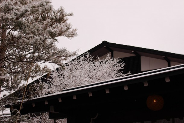 【積雪情報】まだまだ積雪があります。
