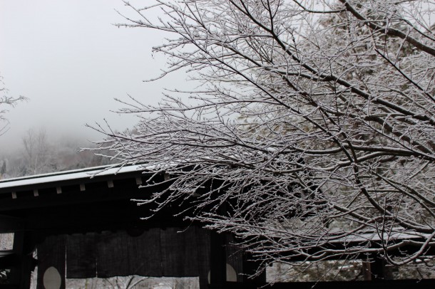 【積雪情報】まだまだ積雪があります。
