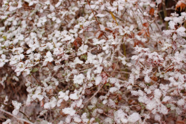 【積雪情報】まだまだ積雪があります。