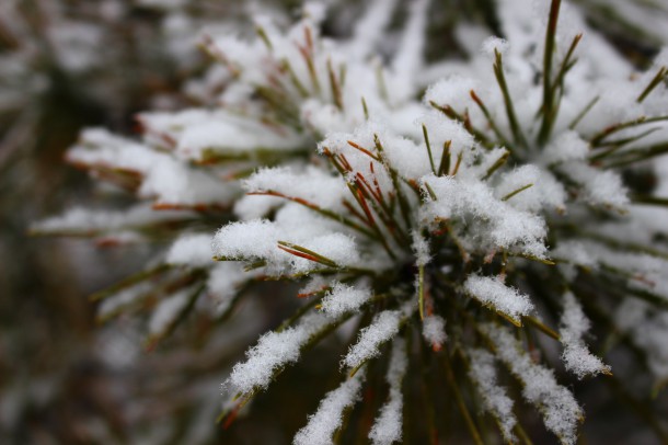 【積雪情報】まだまだ積雪があります。