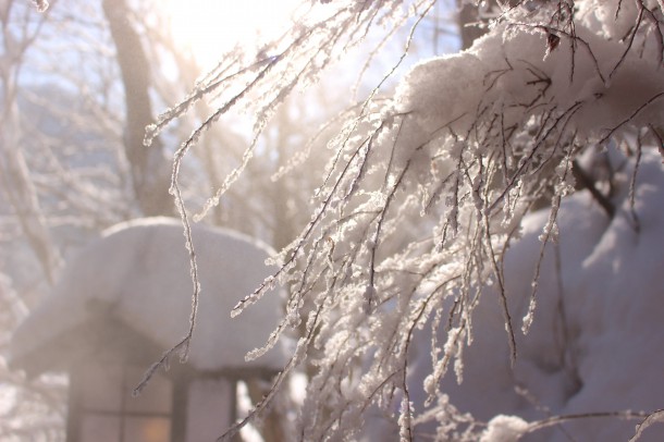 雲一つない晴天。