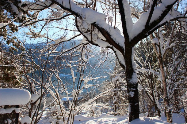 雲一つない晴天。