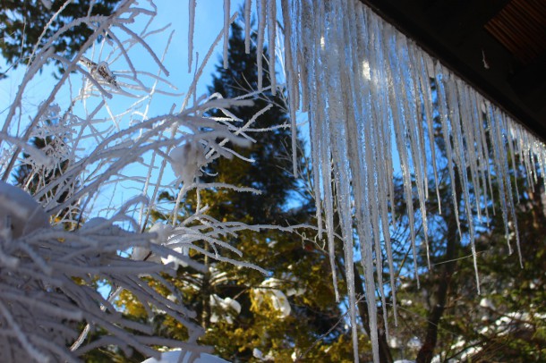 きょうのできごと。