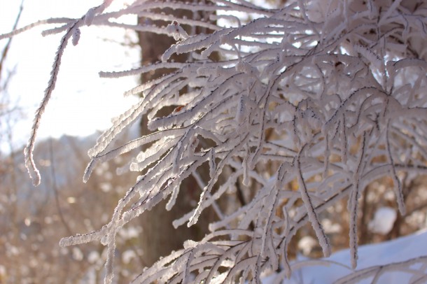 きょうのできごと。