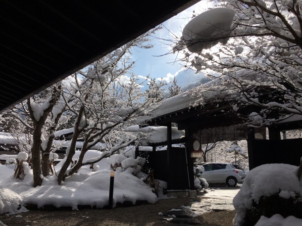 綺麗な冬晴れになりました。