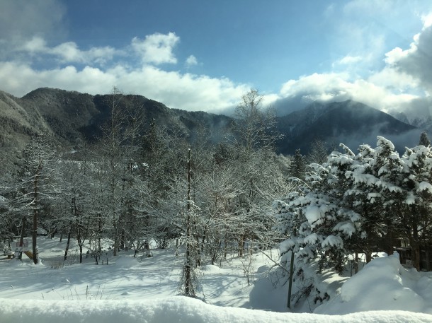 綺麗な冬晴れになりました。