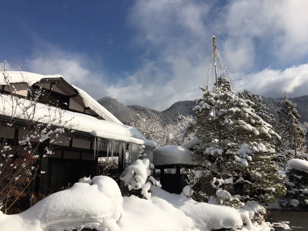 綺麗な冬晴れになりました。