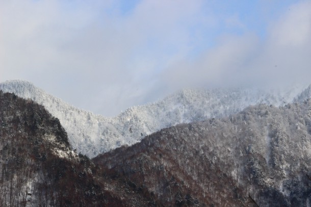 【積雪情報】大雪と風の輪郭。