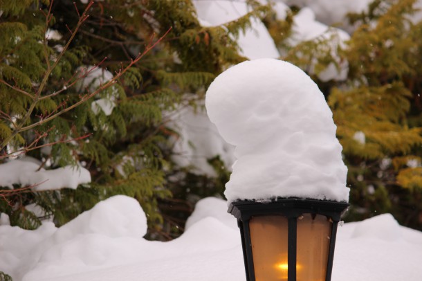 【積雪情報】大雪と風の輪郭。