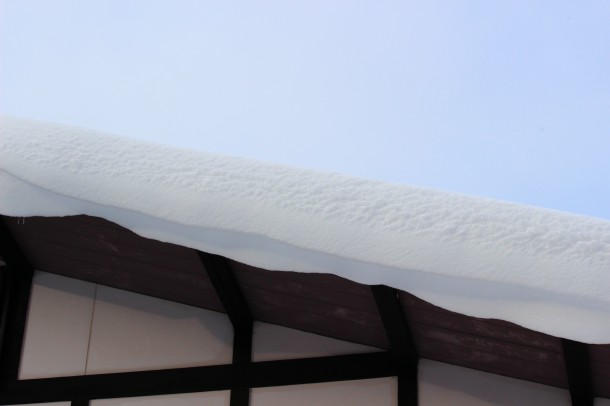 【積雪情報】大雪と風の輪郭。