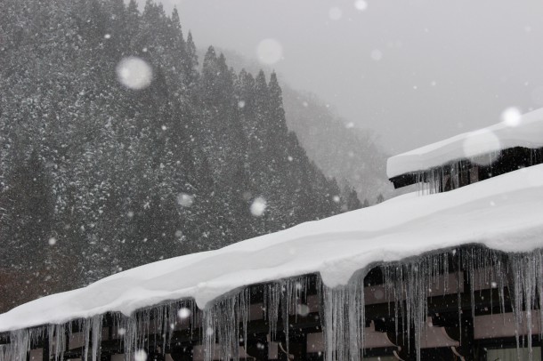 【積雪情報】大雪です。