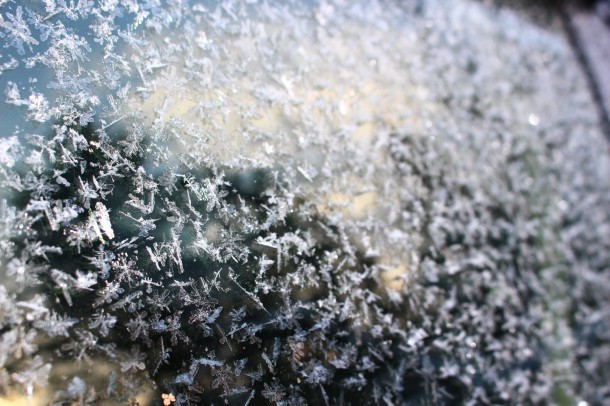 雪の結晶。