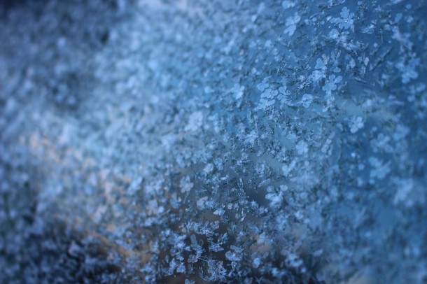 雪の結晶。