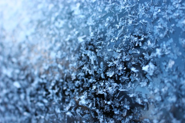 雪の結晶。