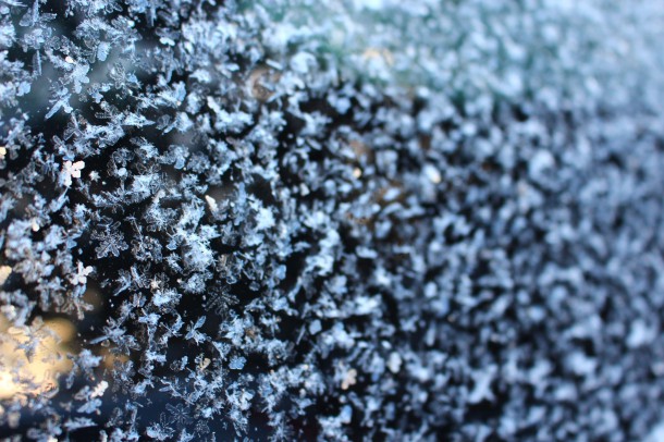 雪の結晶。