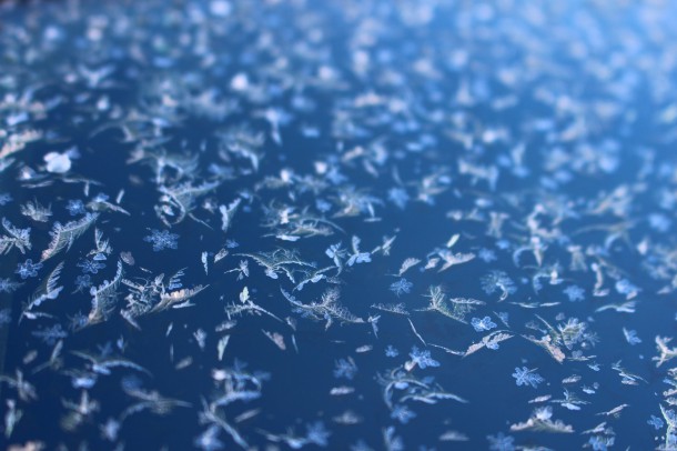 雪の結晶。