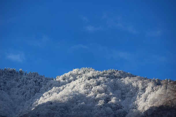 雪の結晶。
