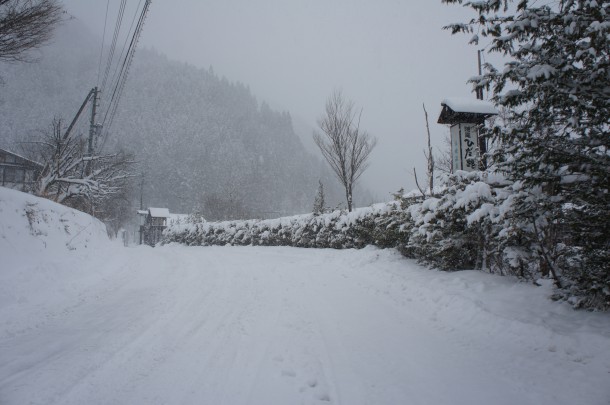 大雪です！