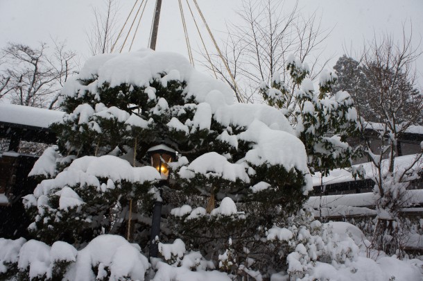 大雪です！