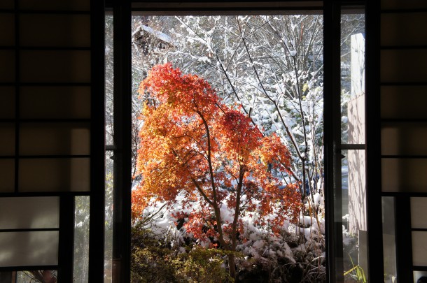 雪色に染まりました。