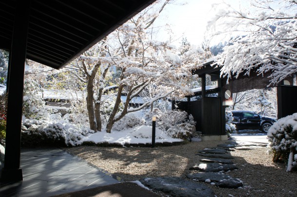 雪色に染まりました。