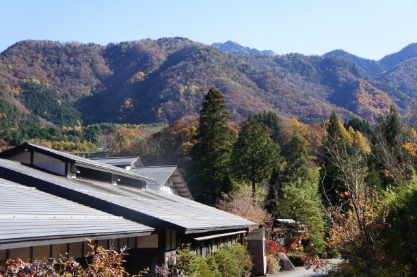 2017年　紅葉情報11