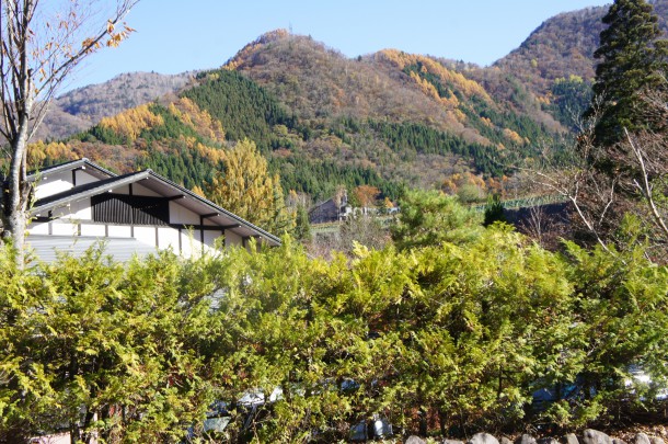 2017年　紅葉情報11