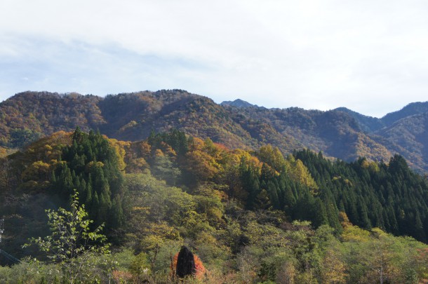 2017年　紅葉情報10