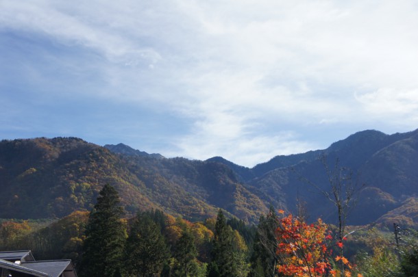 2017年　紅葉情報10