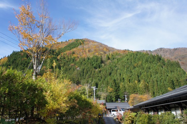 2017年　紅葉情報10