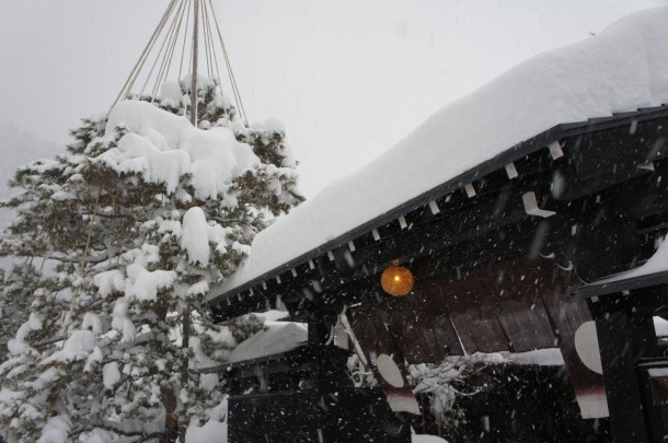 大雪となってます。