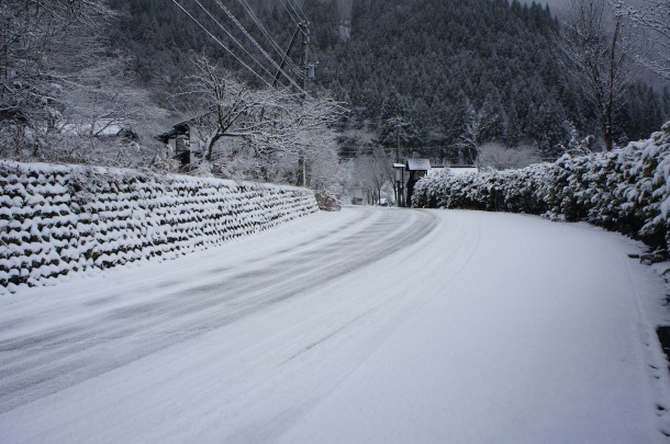 久しぶりの雪景色です。