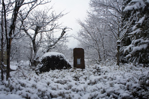 久しぶりの雪景色です。