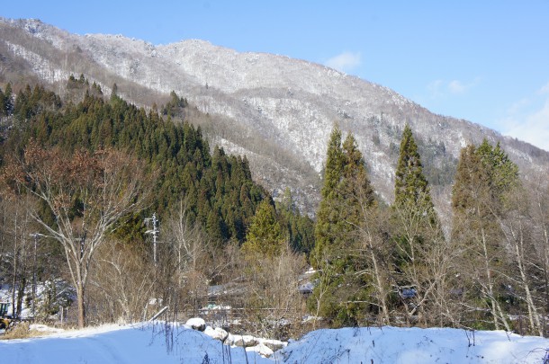 本格的な冬となってきました。