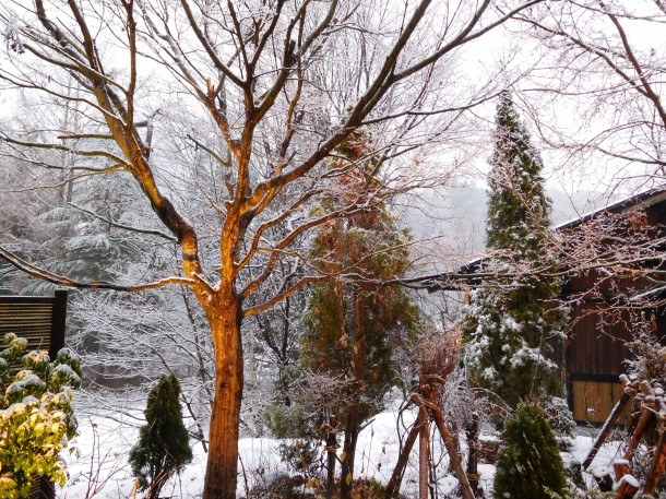 【ひだ路冬だより】雨から雪へ…深まる奥飛騨の冬景色