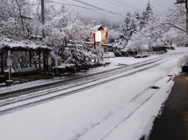 【ひだ路冬だより】一面真っ白な雪景色
