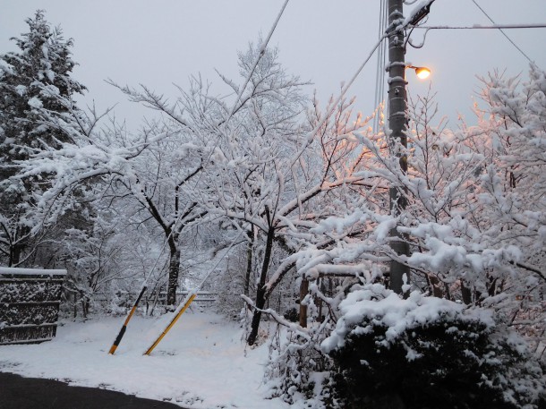 【ひだ路冬だより】一面真っ白な雪景色