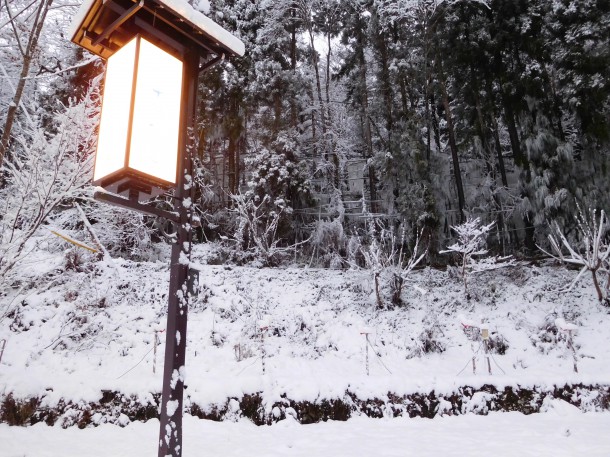 【ひだ路冬だより】一面真っ白な雪景色