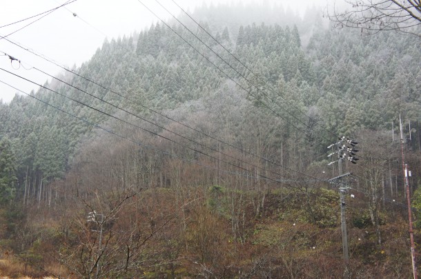 今年二度目の雪です。
