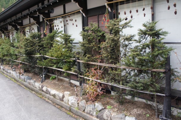 『雪囲い』で冬の準備です。