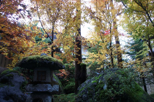 2016年　紅葉情報13