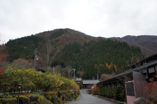 2016年　紅葉情報13