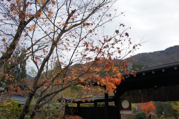 2016年　紅葉情報13
