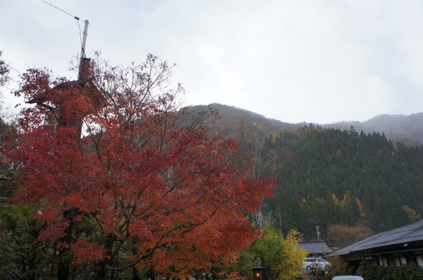 2016年　紅葉情報12＆初雪情報