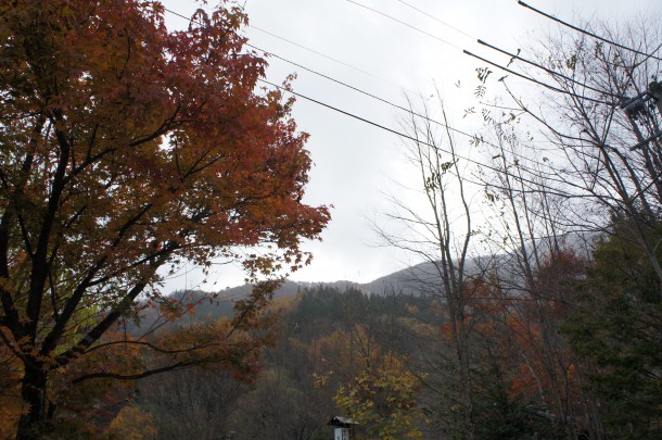 2016年　紅葉情報12＆初雪情報