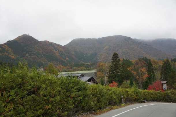 2016年　紅葉情報11