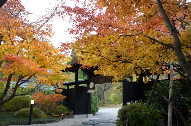 2016年　紅葉情報11