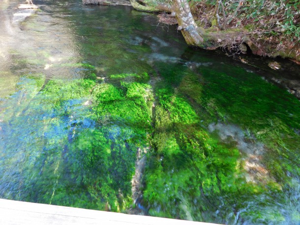 【まもなく閉山】静寂の癒しスポット『上高地』