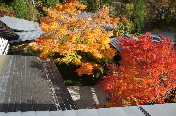 2016年　紅葉情報10